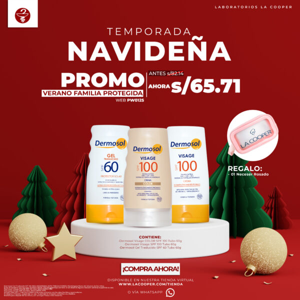 Promo Navideña: Verano Familia Protegida