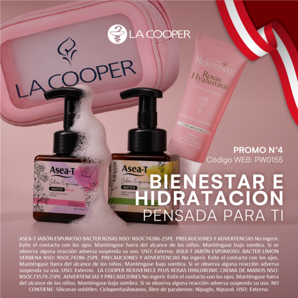 PROMOCIÓN FIESTAS PATRIAS N°4