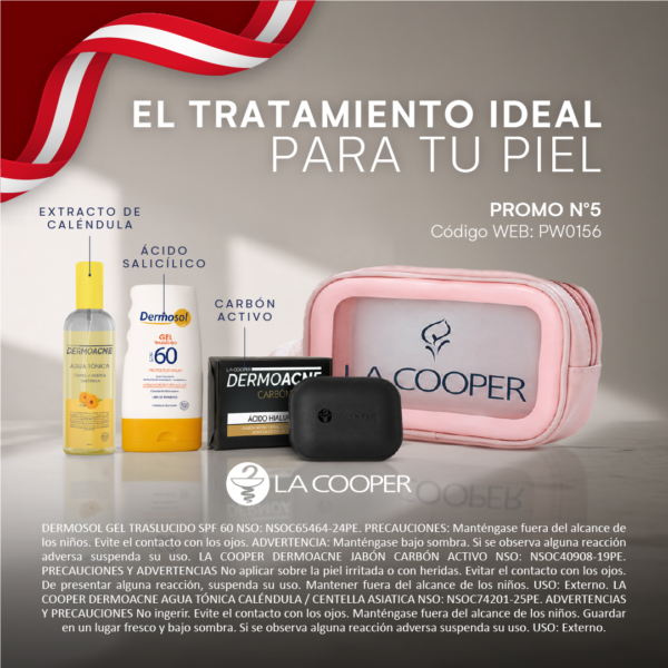 PROMOCIÓN FIESTAS PATRIAS N°5